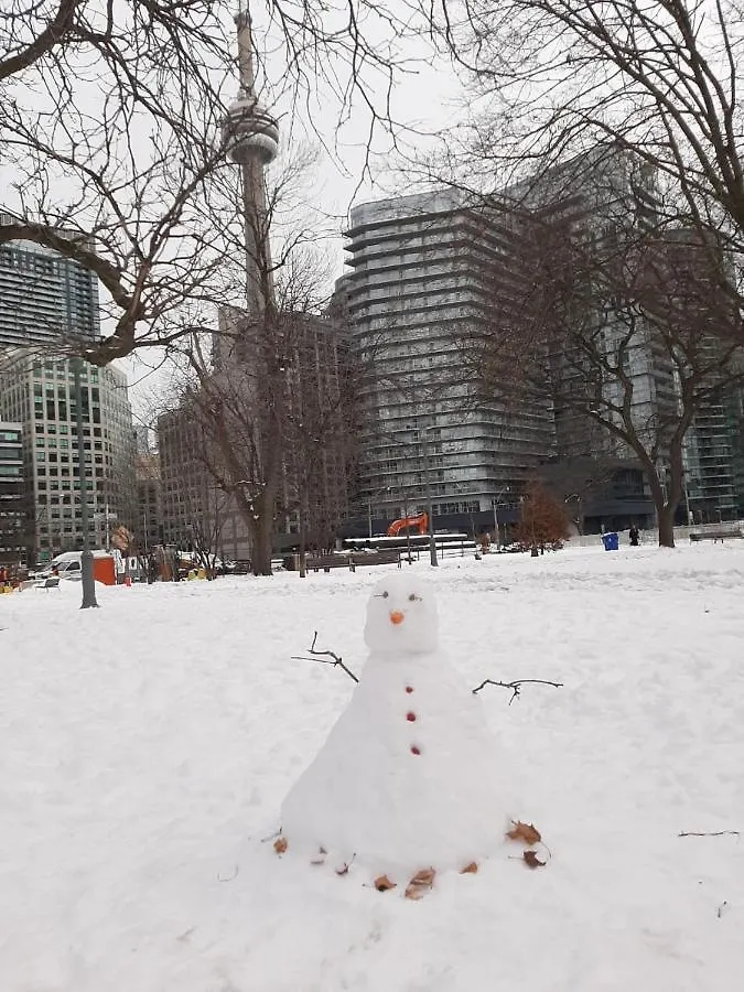 אכסניה הוסטל טורונטו The Clarence Park קנדה