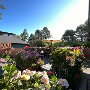Garden In -beautiful In Ferienhaus Victoria